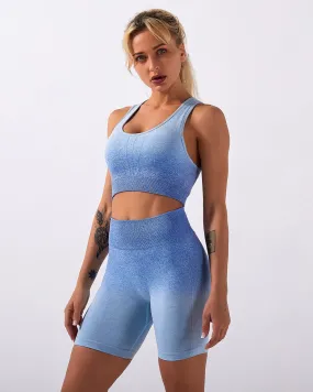 Calico Ombre Sports Bra - Blue