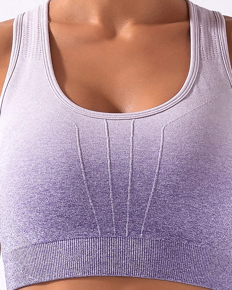 Calico Ombre Sports Bra - Purple
