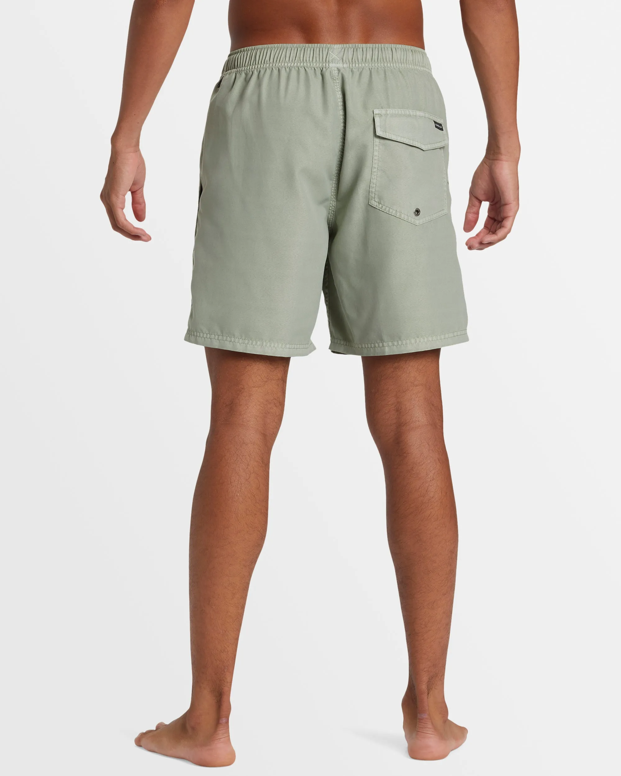 Mens Everyday Surfwash Volley 17" Boardshorts