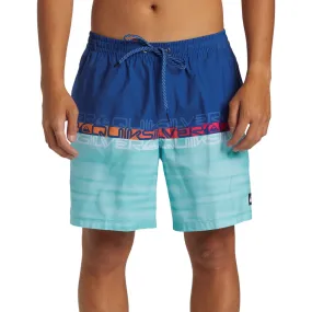 Quiksilver Mens Everyday Wordblock Volley 17" Swim Shorts
