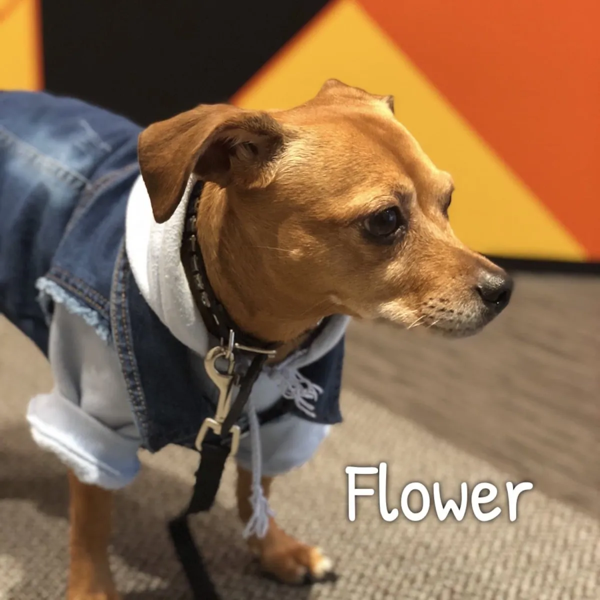 Retro Denim Vest
