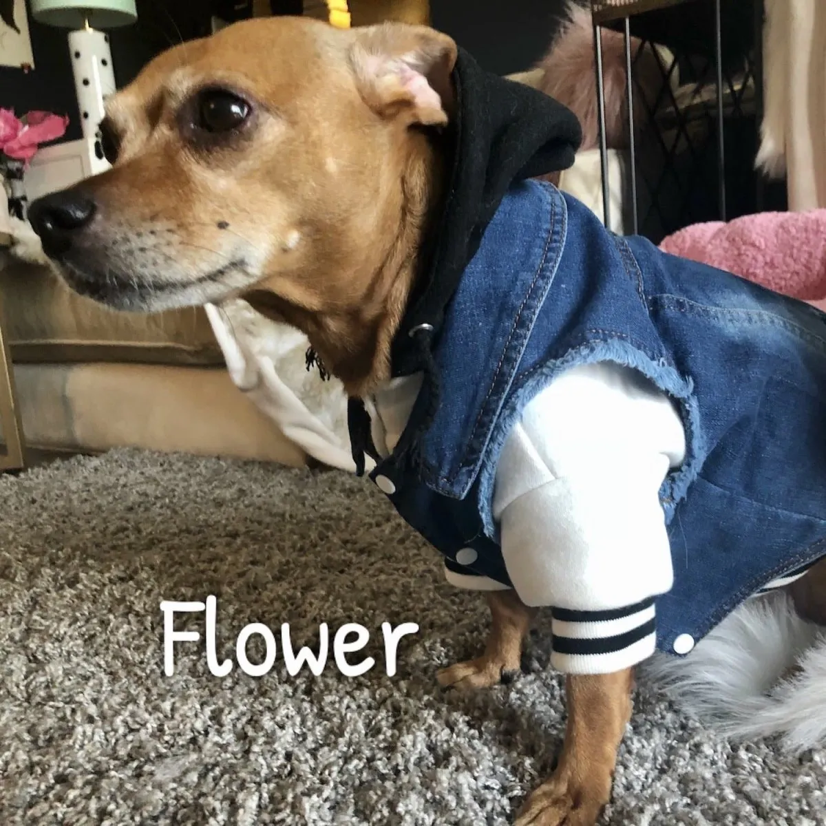 Retro Denim Vest
