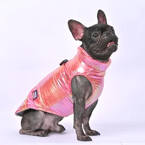 Snow Shield Frenchie Reflective Winter Warm Jacket V2