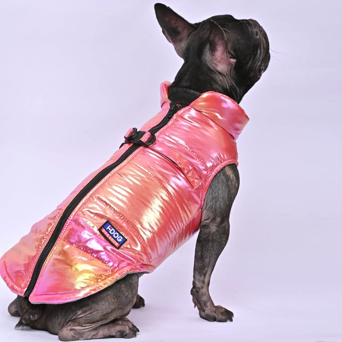 Snow Shield Frenchie Reflective Winter Warm Jacket V2