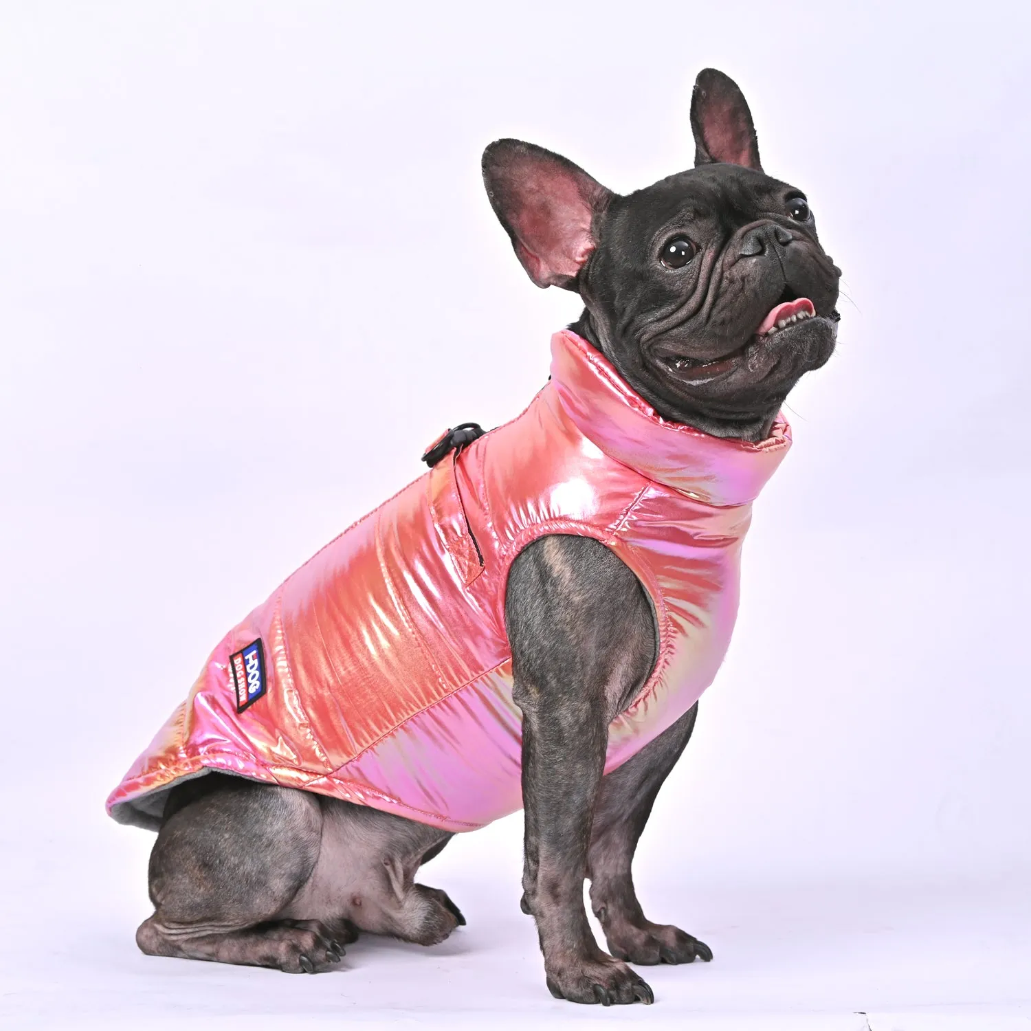 Snow Shield Frenchie Reflective Winter Warm Jacket V2