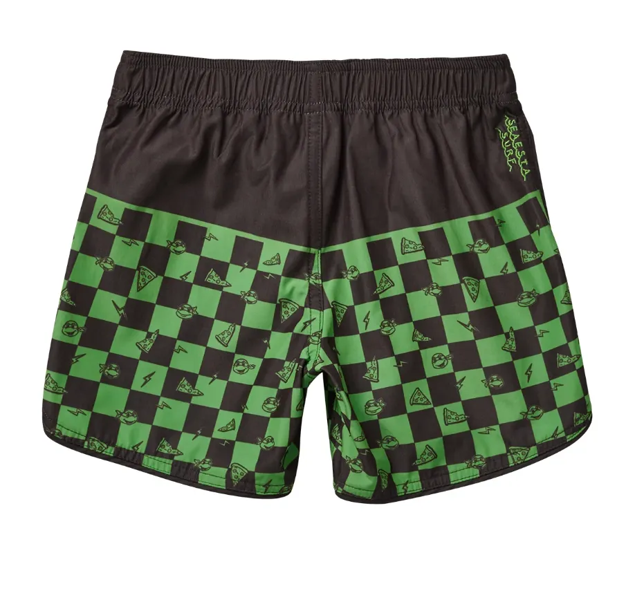 Teenage Mutant Ninja Turtles Checker Boardshorts | Turtle Green