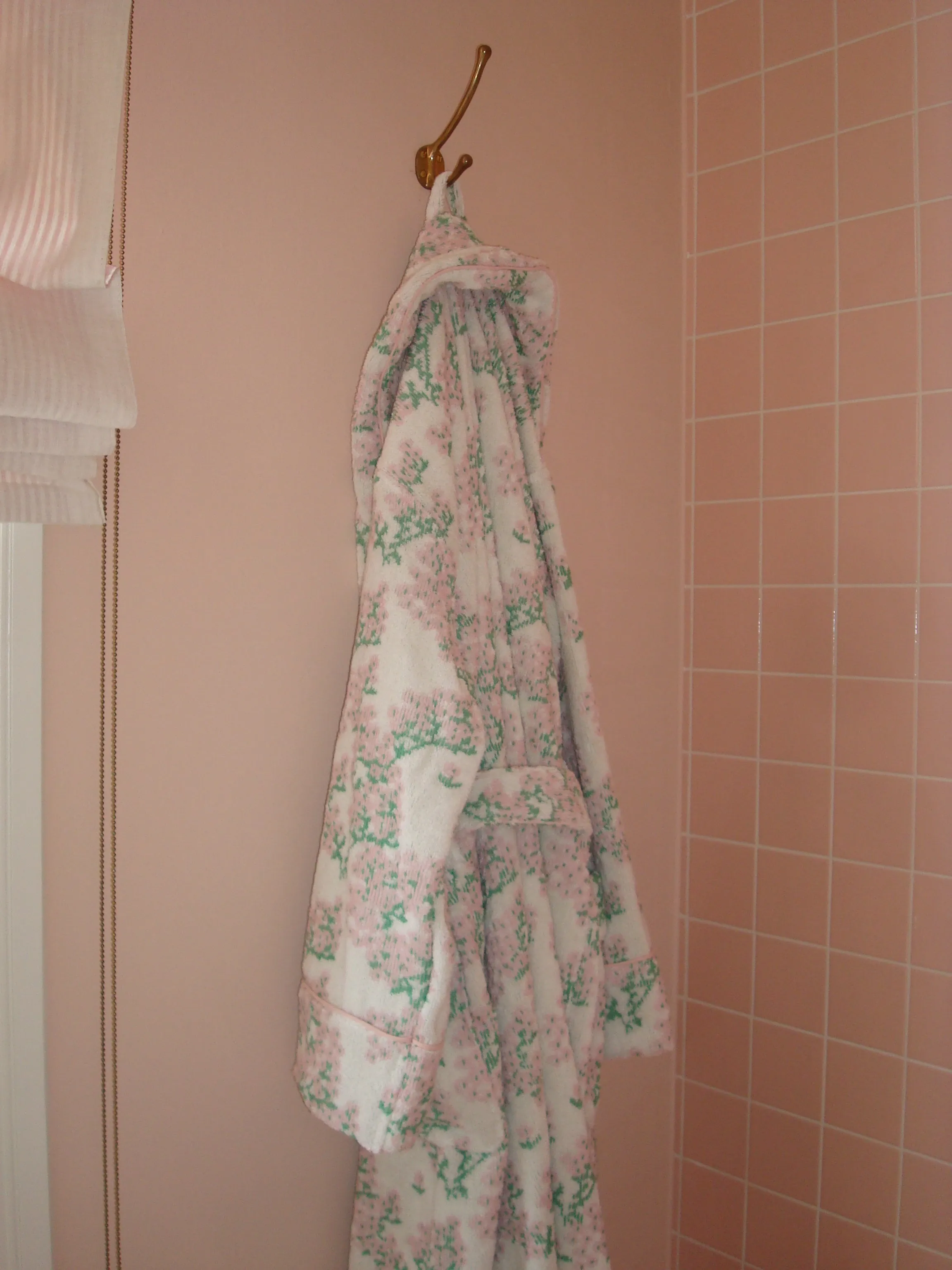 The Bath Robe